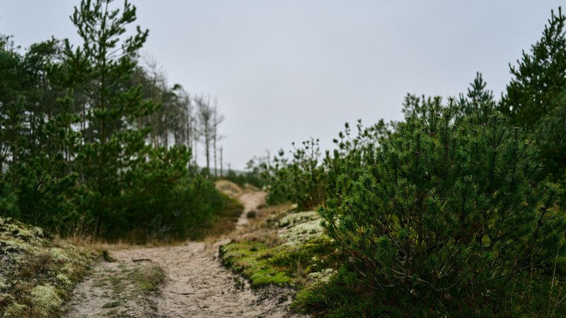 Billeder taget af Bertel Bolt