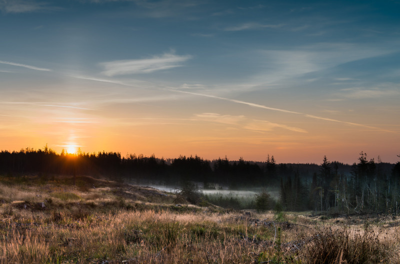 isbjerg_2014-2009-hdr4