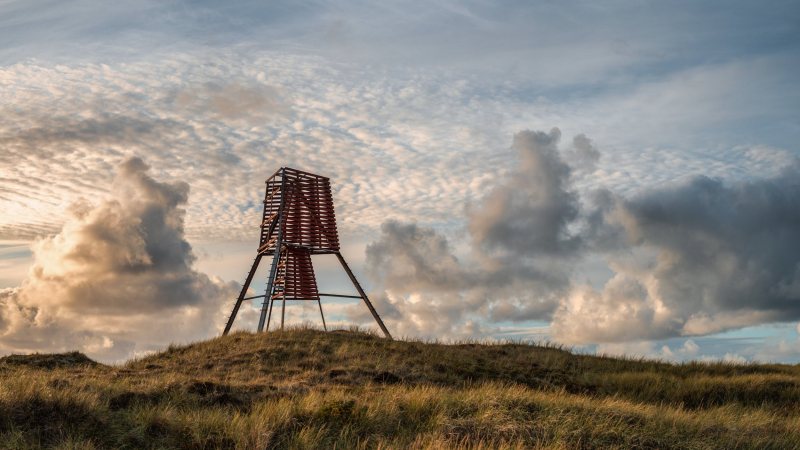 Billeder taget af Bertel Bolt
