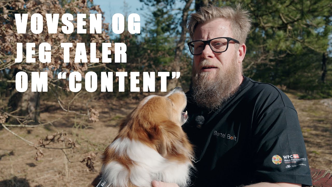 Vovsen og jeg taler om Content