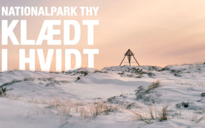 Stockfoto fra Nationalpark Thy